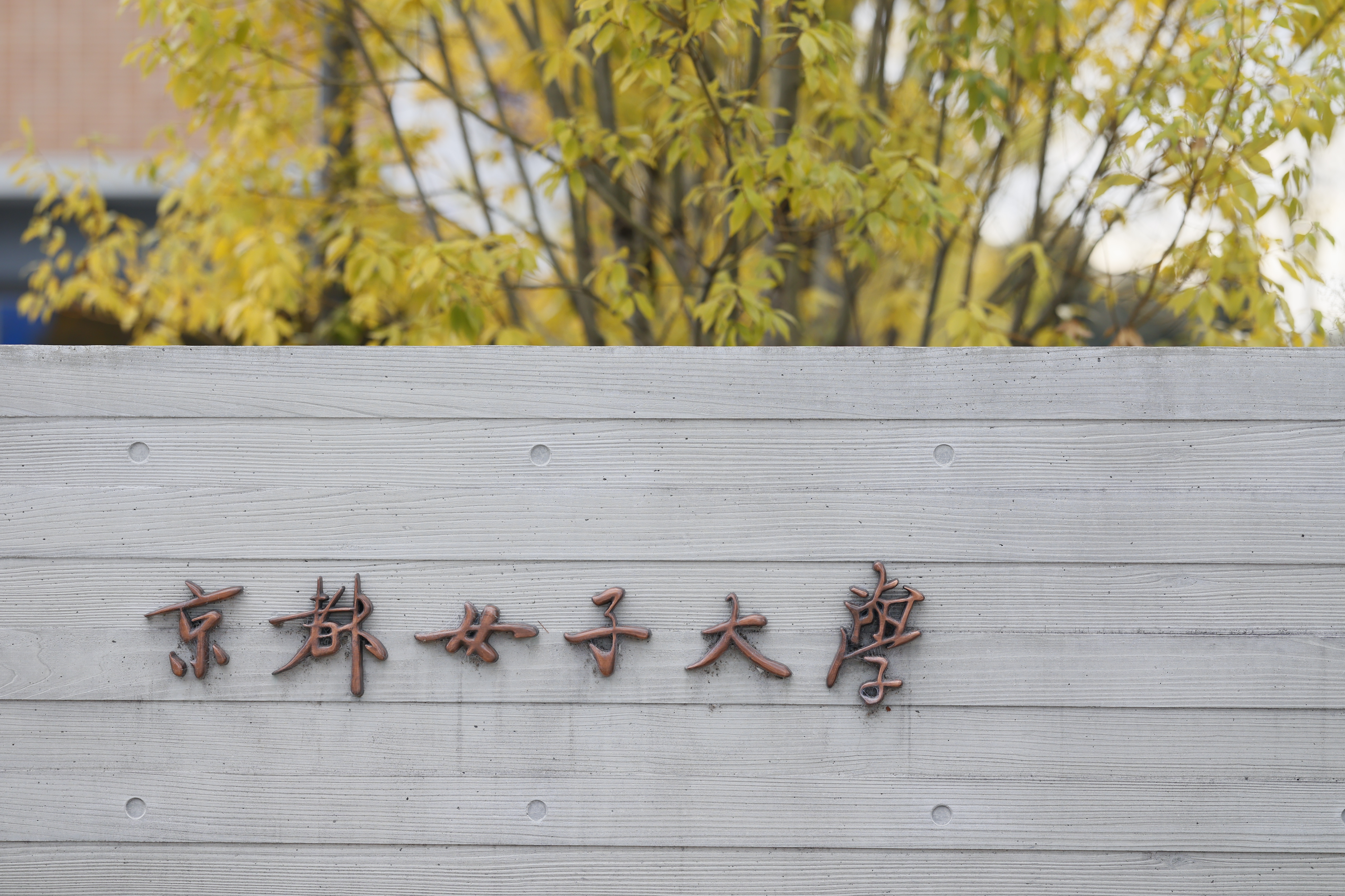 第67回 意匠学会大会 京都女子大学 https://www.kyoto-wu.ac.jp/access/